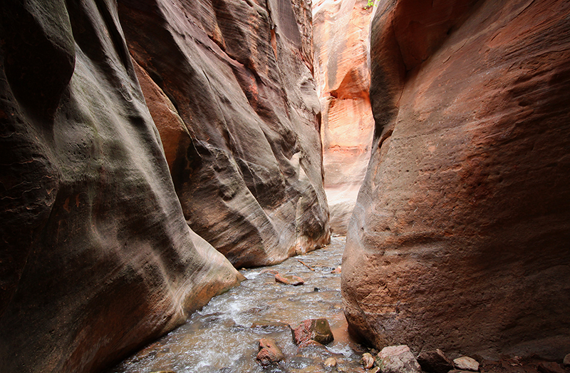 Kanarra Creek [Hurricane Cliffs]