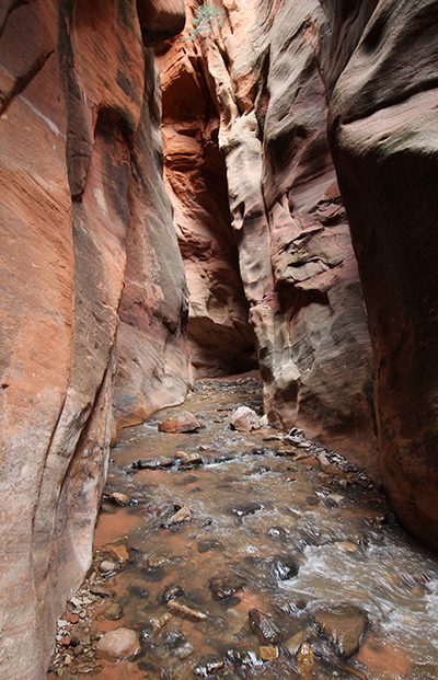 Kanarra Creek [Hurricane Cliffs]