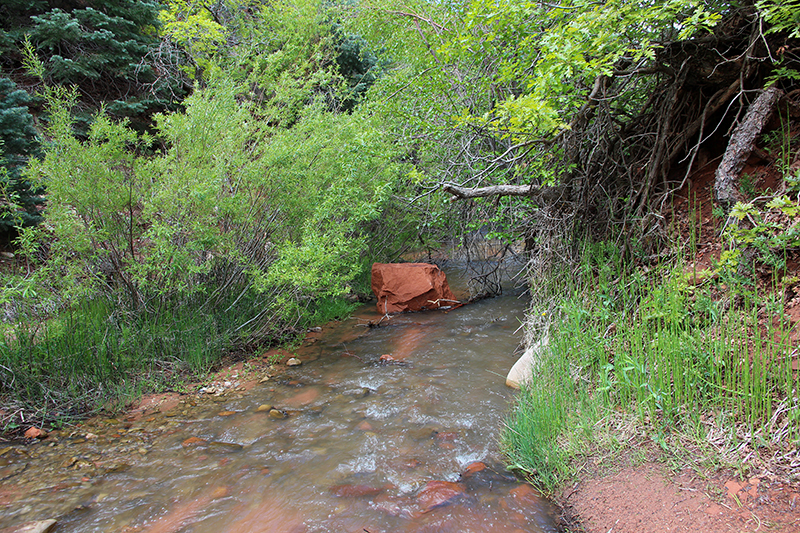 Kanarra Creek [Hurricane Cliffs]