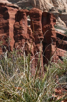 Keyhole Arch