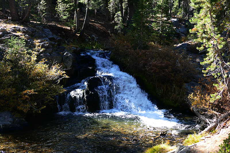 Kings Creek Falls and Cascades [Lassen Volcanic National Park]