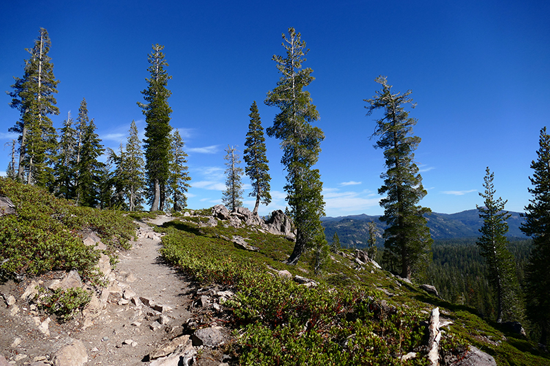 Kings Creek Falls and Cascades [Lassen Volcanic National Park]