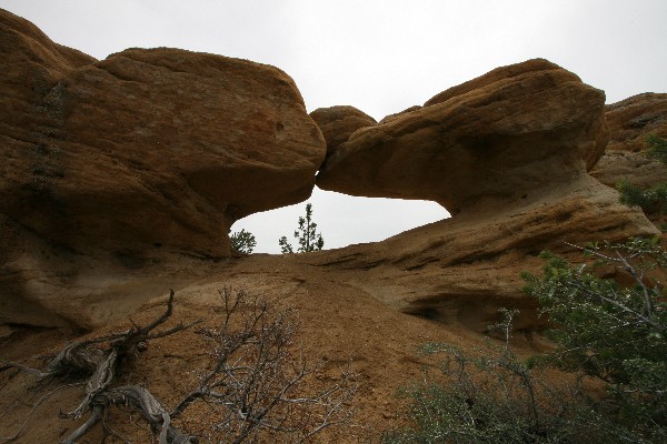 Kiss Arch