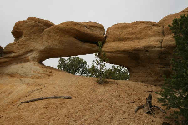 Kiss Arch