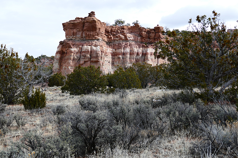 Kit Carson Cave [Gallup]