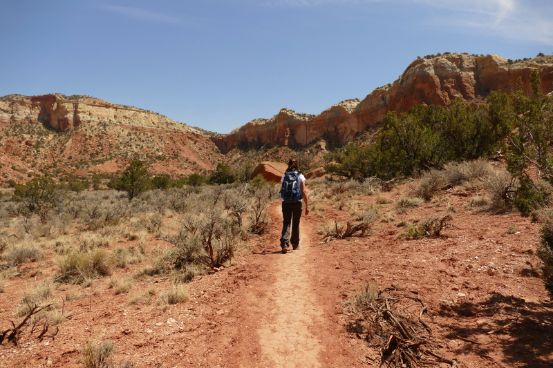 Kitchen Mesa Trail from Ghost Ranch [Carson National Forest]