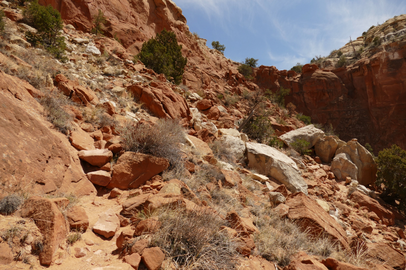 Kitchen Mesa Trail from Ghost Ranch [Carson National Forest]