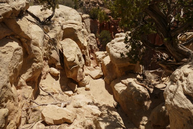 Kitchen Mesa Trail from Ghost Ranch [Carson National Forest]