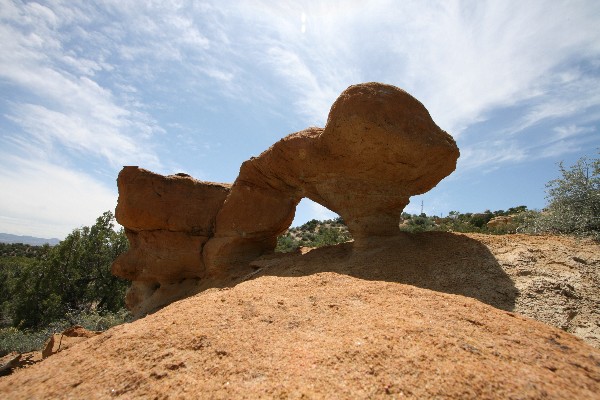 Knickerbocker Arches