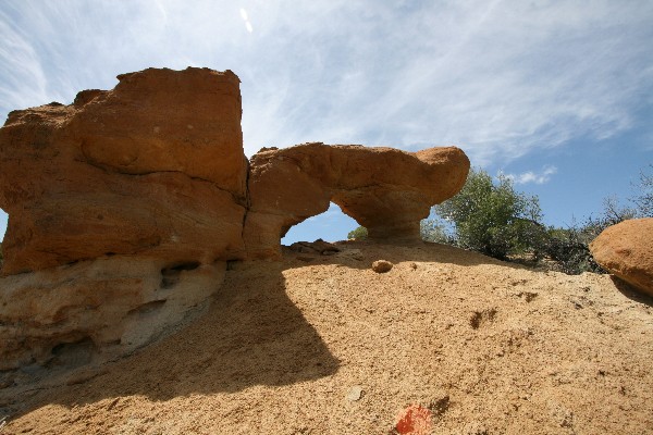 Knickerbocker Arches