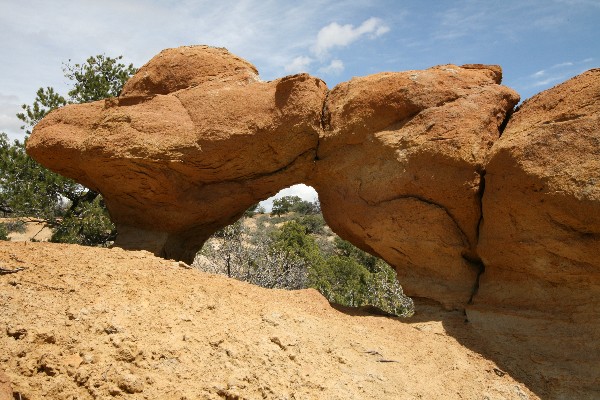 Knickerbocker Arches