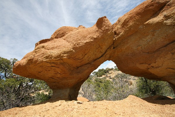 Knickerbocker Arches