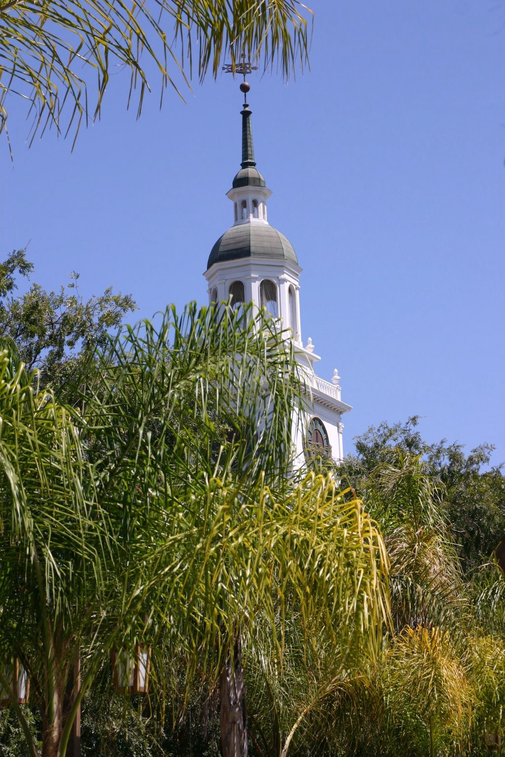 Knott's Berry Farm