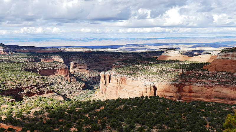 Knowles Canyon [McInnis Canyons National Conservation Area]