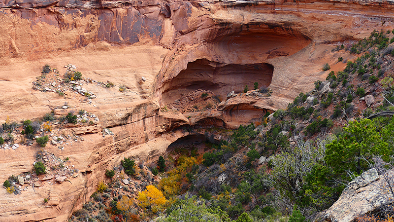 Knowles Canyon [McInnis Canyons National Conservation Area]