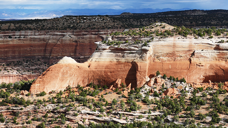 Knowles Canyon [McInnis Canyons National Conservation Area]