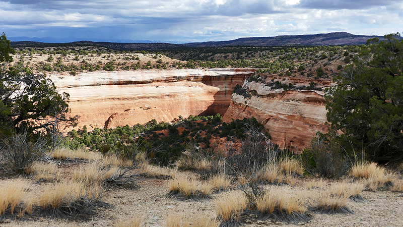 Knowles Canyon [McInnis Canyons National Conservation Area]