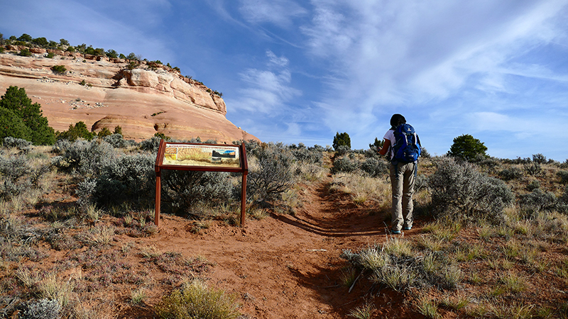 Knowles Canyon [McInnis Canyons National Conservation Area]