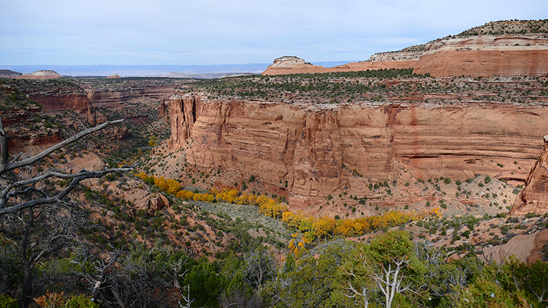 Knowles Canyon [McInnis Canyons National Conservation Area]