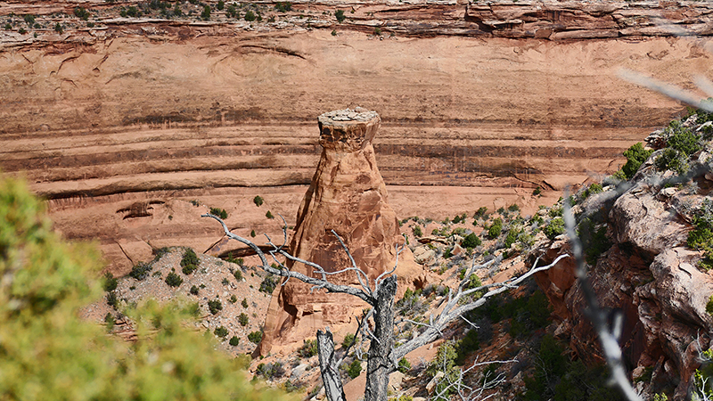 Upper Knowles Canyon [McInnis Canyons National Conservation Area]