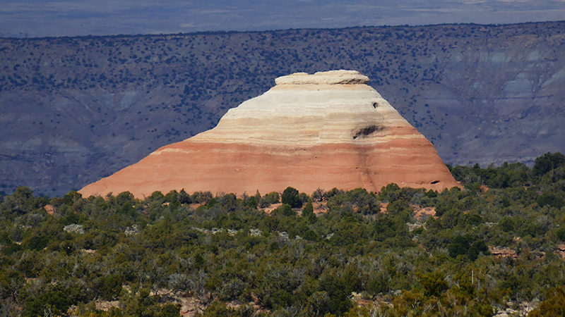 Knowles Canyon [McInnis Canyons National Conservation Area]