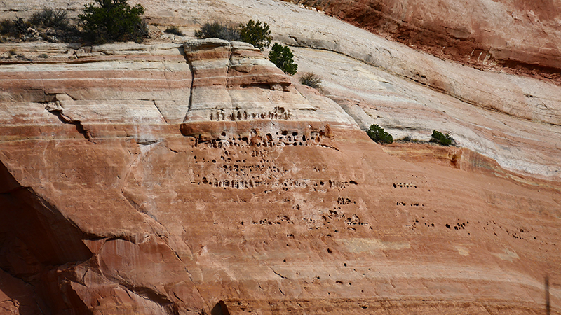 Knowles Canyon [McInnis Canyons National Conservation Area]