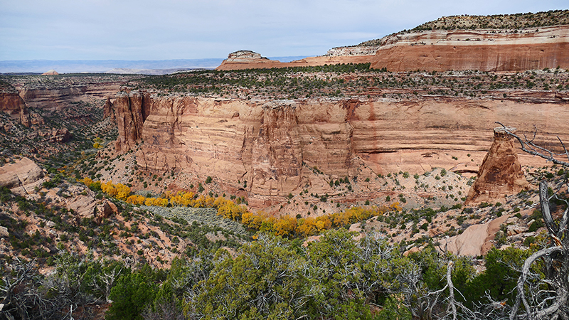 Knowles Canyon [McInnis Canyons National Conservation Area]