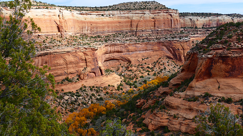 Knowles Canyon [McInnis Canyons National Conservation Area]