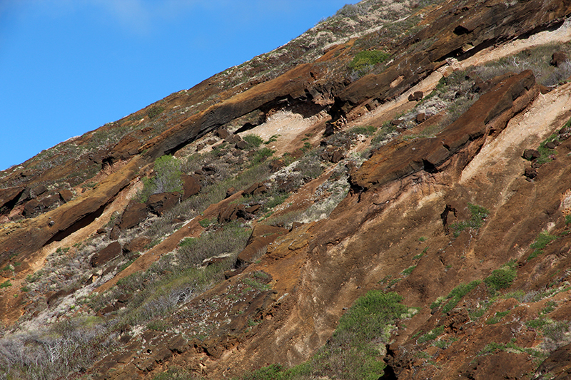 Koko Crater Krater and Arch