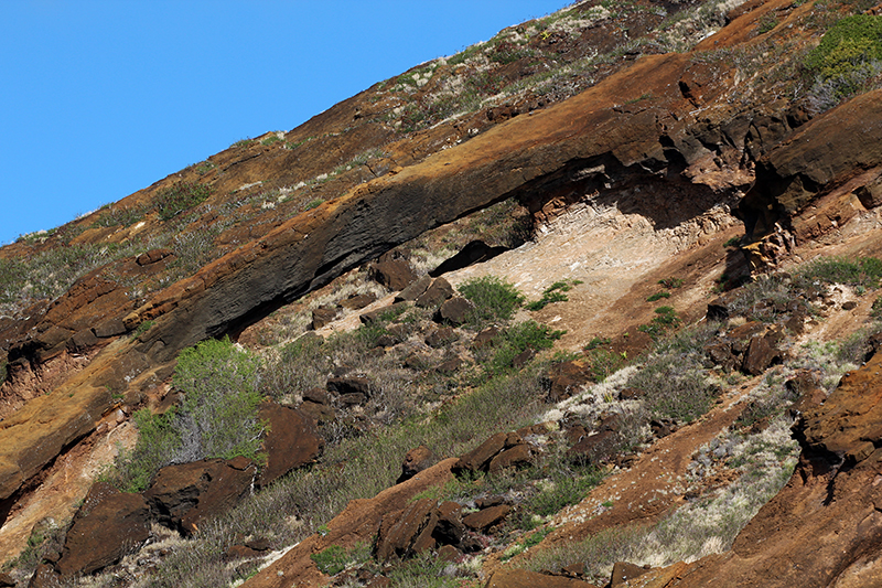 Koko Crater Krater and Arch