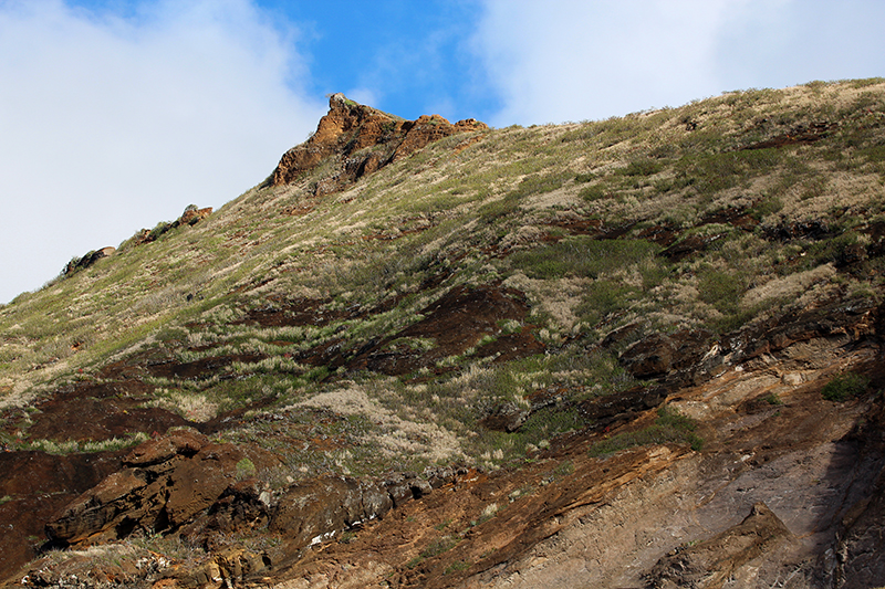 Koko Crater Krater and Arch