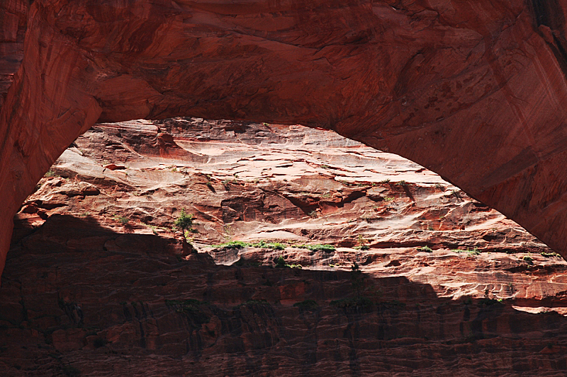 Kolob Arch im Zion NP