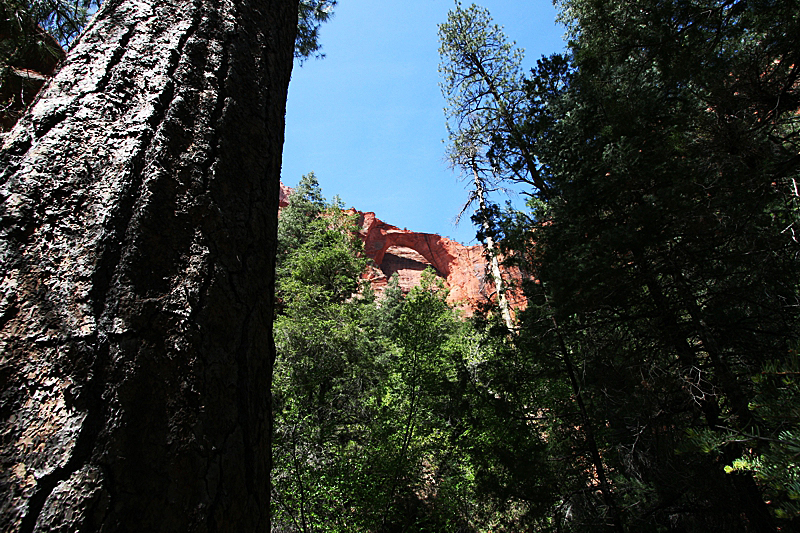 Kolob Arch im Zion NP