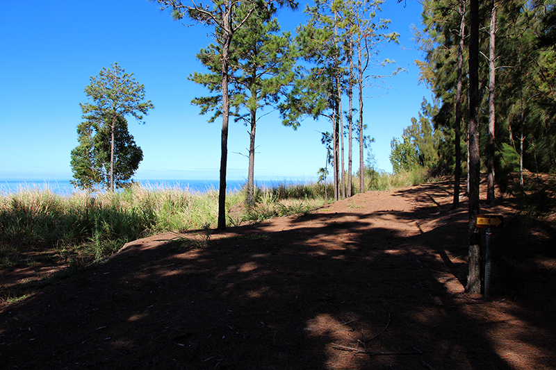 Kuaokala Ridge