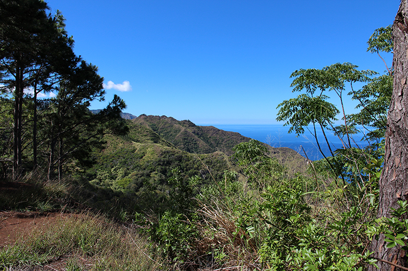 Kuaokala Ridge