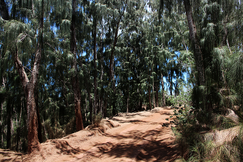 Kuaokala Ridge