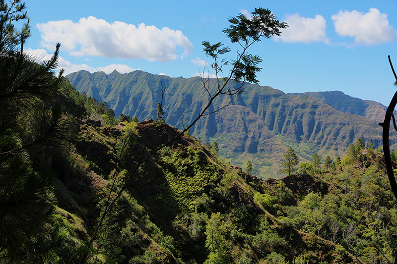 Kuaokala Ridge