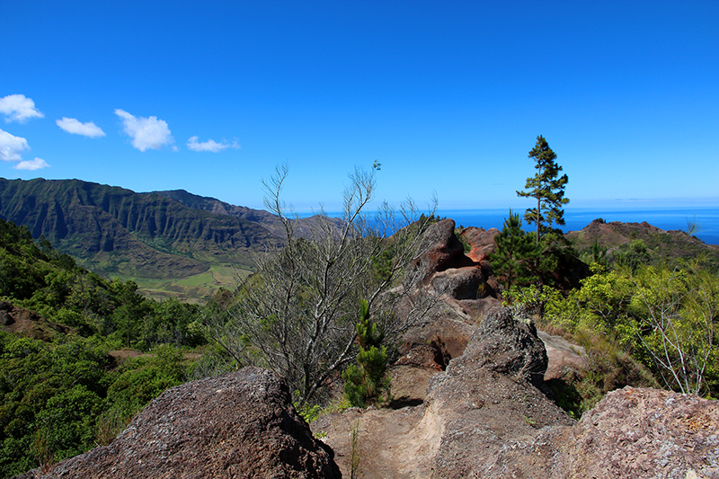 kuaokala ridge