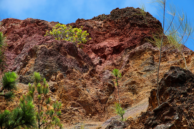 Kuaokala Ridge