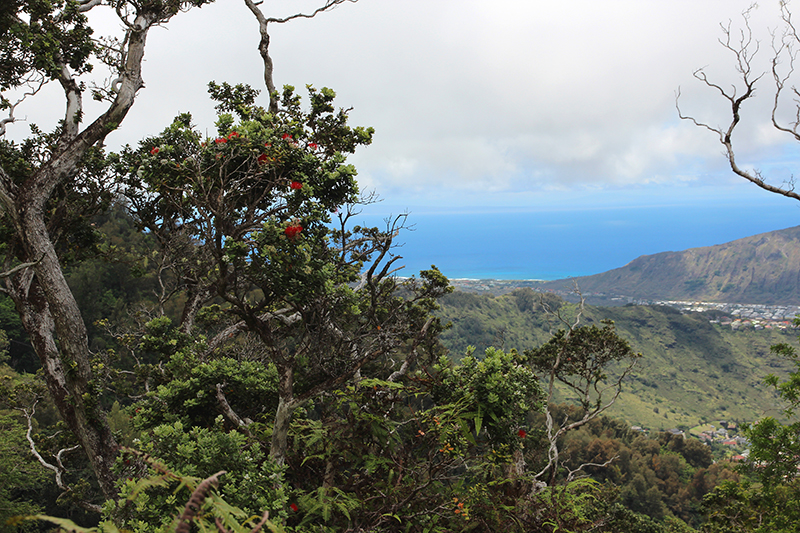 Kuliouou Ridge Oahu Hawaii