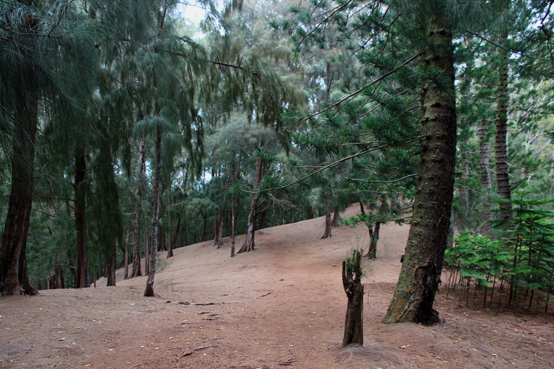 Kuli'ou'ou Ridge