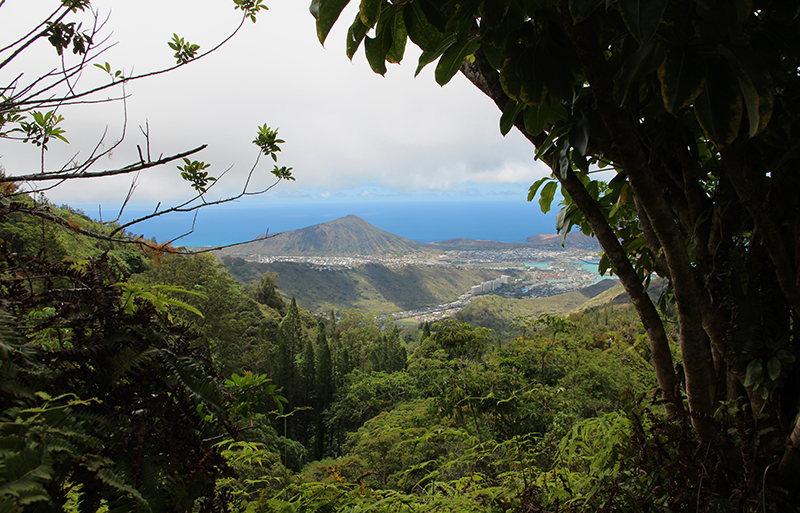 Kuliouou Ridge Oahu Hawaii