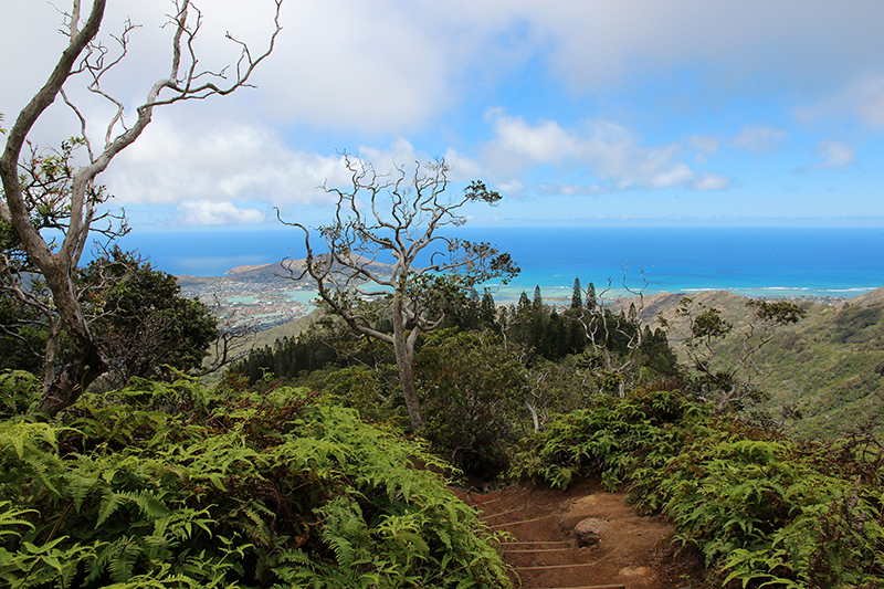 Kuliouou Ridge Oahu Hawaii