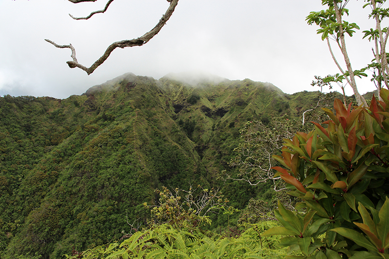 Kuli'ou'ou Ridge