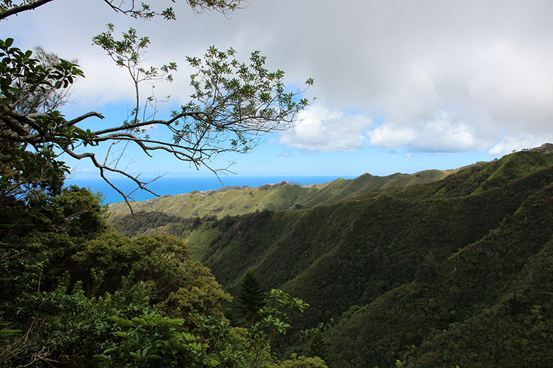 Kuliouou Ridge Oahu Hawaii