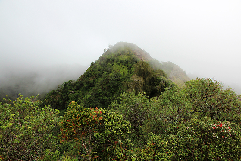 Kuliouou Ridge Oahu Hawaii