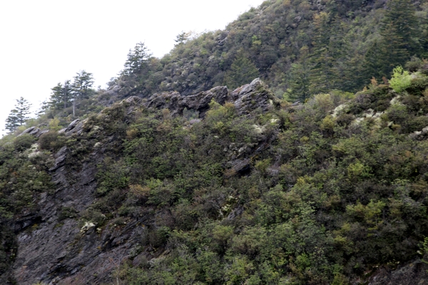 Gate of the Needle [Great Smoky Mountains Nationalpark]