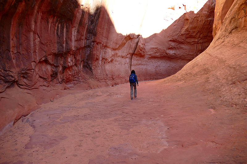 Leprechaun Slot Canyon