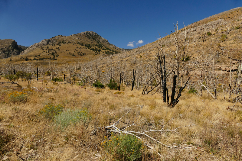 Lexington Arch [Great Basin National Park]