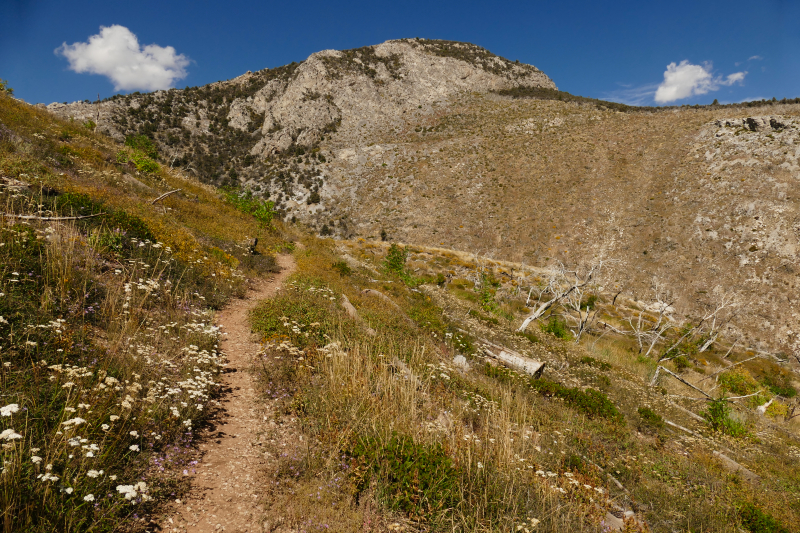 Lexington Arch [Great Basin National Park]